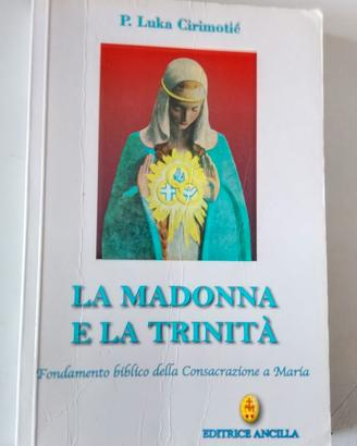 La Madonna e la Trinità. Fondamento biblico ...