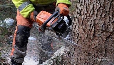 Taglia a raso piante albero giardino