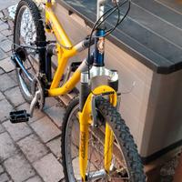 Mountain bike