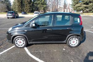 FIAT PANDA  1.0 FIREFLY S&S HYBRID