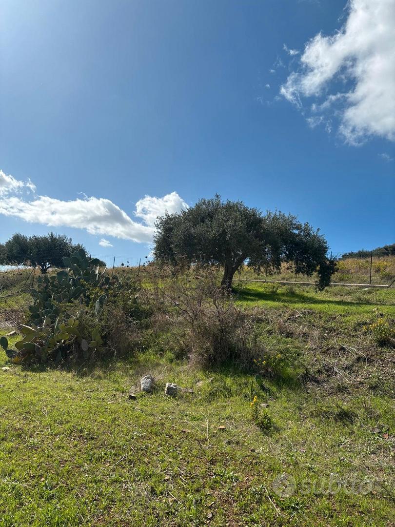 V/1297 Terreno panoramico - Vista 5