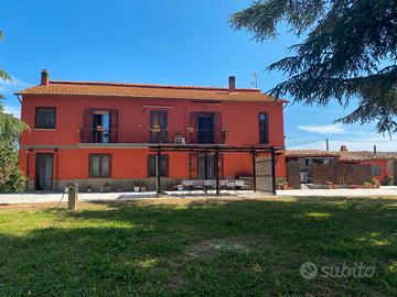 Il Casale nella Tuscia .Case vacanze. Cani ammessi