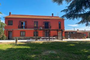 Il Casale nella Tuscia .Case vacanze. Cani ammessi