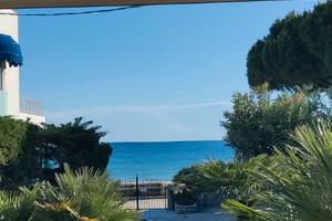 Isola d'Elba costa del sole Cavoli