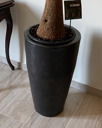 Vaso alto in terracotta smaltata
