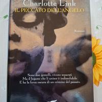 Il peccato dell'angelo