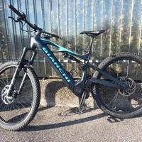 Bianchi e-vertic fx-type gx 