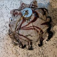 lampadario svenduto quasi regalato 