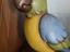 Immagine 4