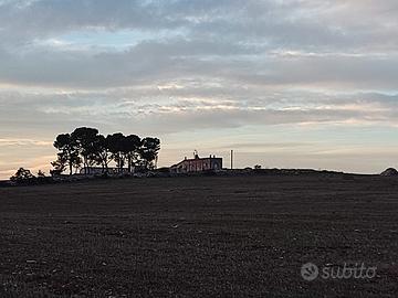 50 ettari Terreno + edifici rurali