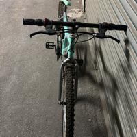 Bicicletta mountain bike