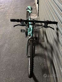 Bicicletta mountain bike