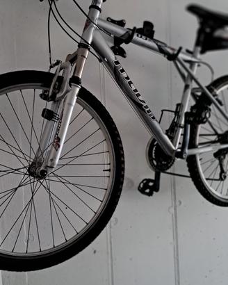 bicicletta  mtb 26'