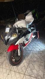 R6 pista