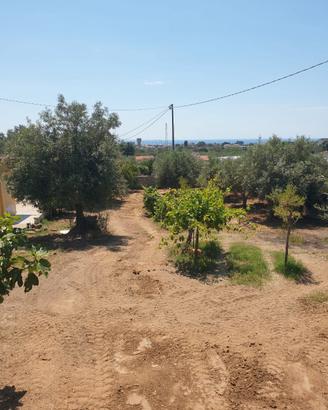 Proprietà indipendente