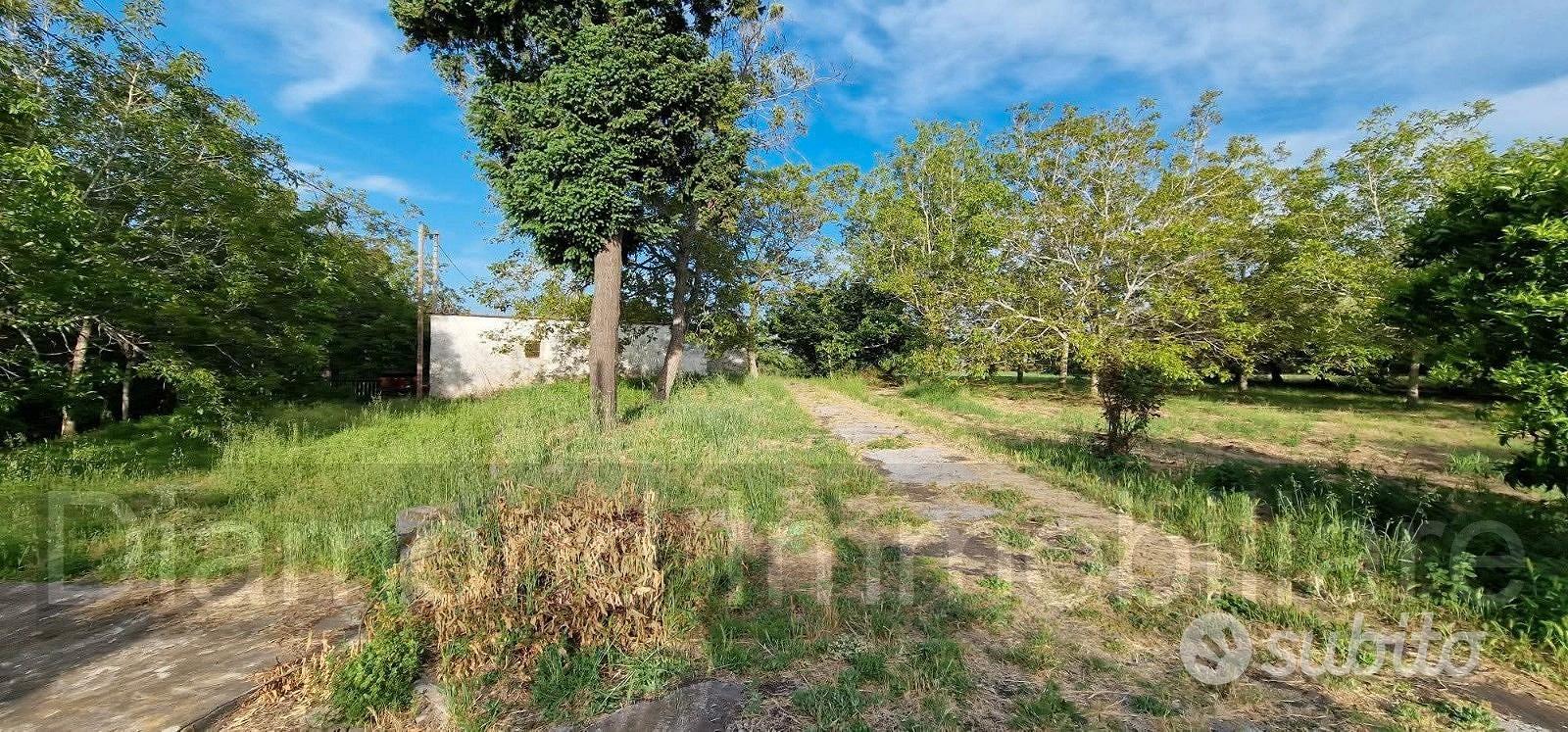 Fabbricati con terreno a Piedimonte Etneo - Vista 3