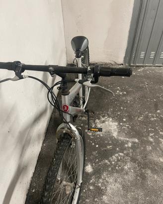 Bicicletta