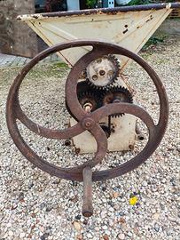 Macina uva diraspatrice