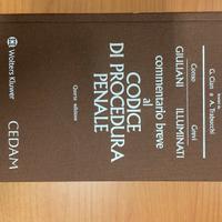 Commentario breve al codice di proc penale Cedam