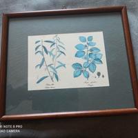 Quadro 