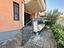 Immagine 7