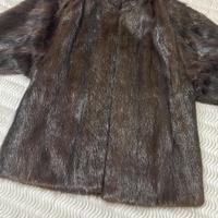 Pellicciotto di Castoro