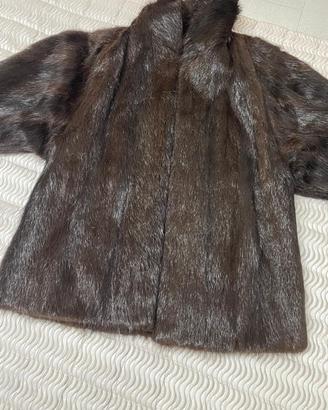 Pellicciotto di Castoro