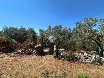 TER. AGRICOLO A NORMA