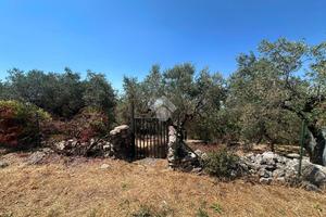 TER. AGRICOLO A NORMA