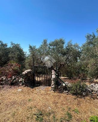 TER. AGRICOLO A NORMA