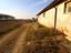 Immagine 10