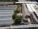 ter-agricolo-a-vallecrosia-al-mare