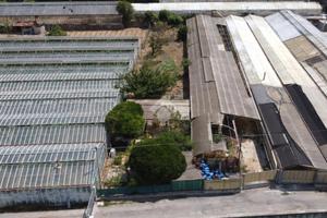 TER. AGRICOLO A VALLECROSIA AL MARE