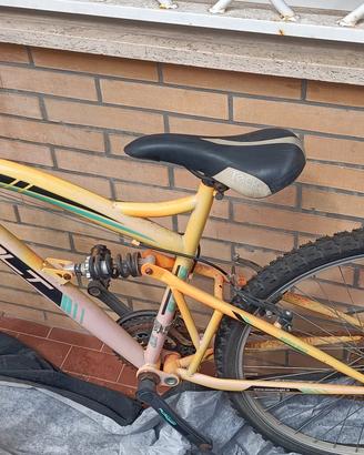 Mountain bike '26