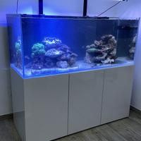 Acquario circa 520 litri