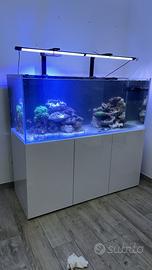 Acquario circa 520 litri