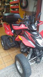  quad 250 Dvx Artic cat