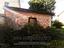Immagine 8