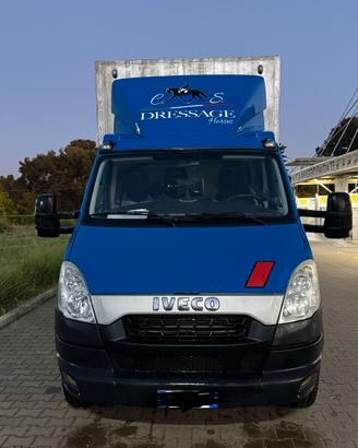 Iveco Daily 60c17 - veicolo per trasporto cavalli