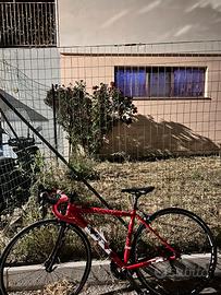 Bici da corsa Whistle