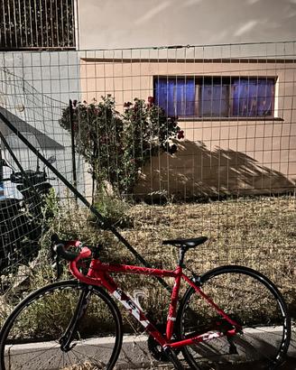 Bici da corsa Whistle