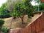 Immagine 12