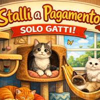 Stallo casalingo q pagamento per gatti
