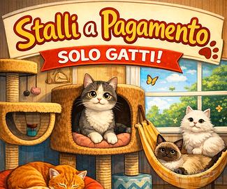 Stallo casalingo a pagamento per gatti