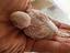 Immagine 3