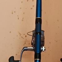 canna da pesca Mitchell con mulinello Daiwa 