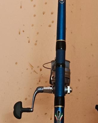 canna da pesca Mitchell con mulinello Daiwa 