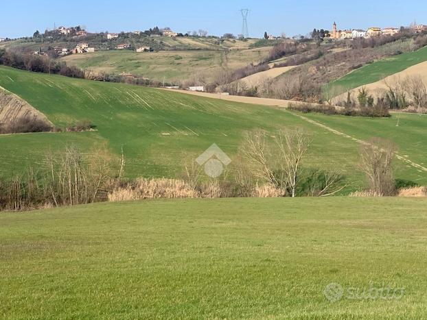 TER. AGRICOLO A CORIANO