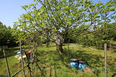 TER. AGRICOLO A GARBAGNATE MILANESE