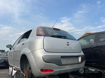 Punto evo anno dal 2009 al 2018